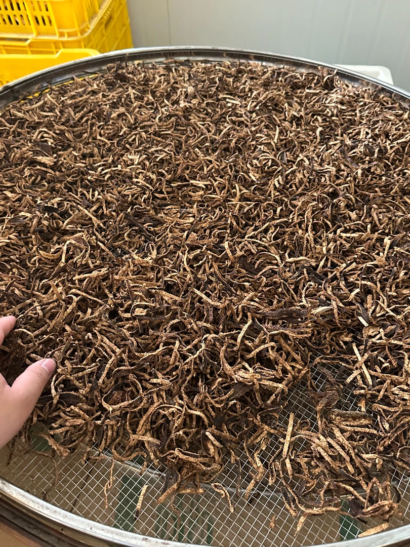 【陈香、梅子香】2015年南坦狗腩皮碎皮【陈皮丝】-【滋味绵厚】陈味浓郁