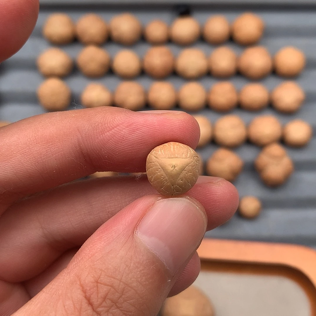 凤眼菩提吊坠难**涂龙眼