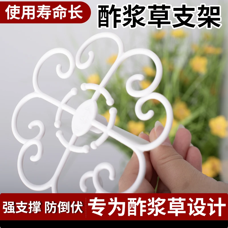 酢浆草早花太阳花专用园艺支架防倒伏固定造型塑形支撑工具花架