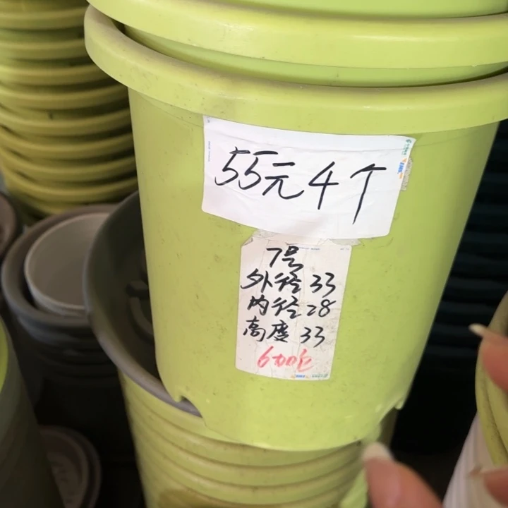 口径33果绿无托6个特价