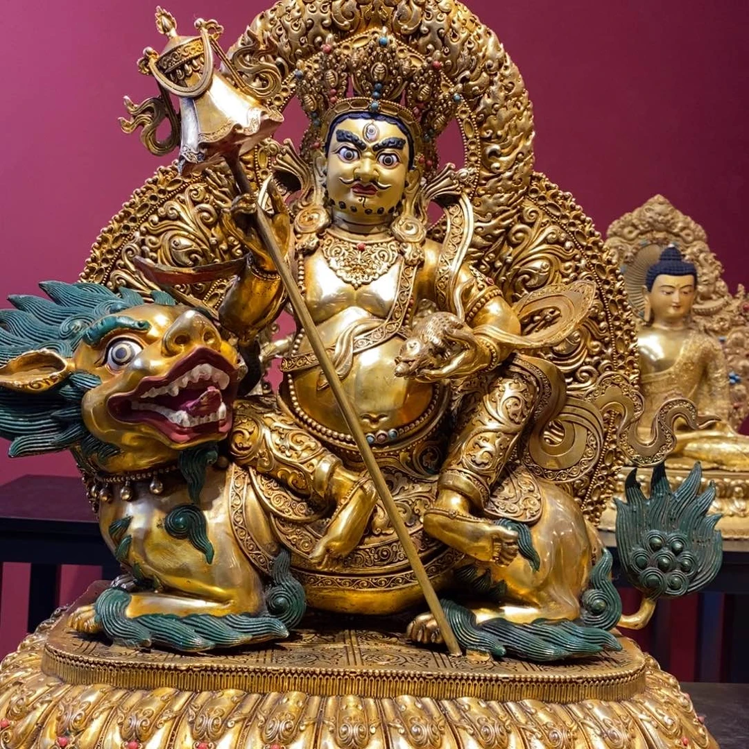 z***d铜11111师兄1111111