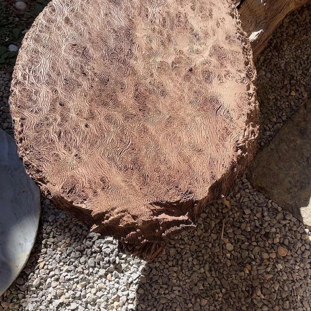 F***A有机玻璃铁栎木大尺寸干泡