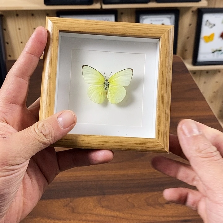 哥****大理石磁石哥谭老师专属乱2