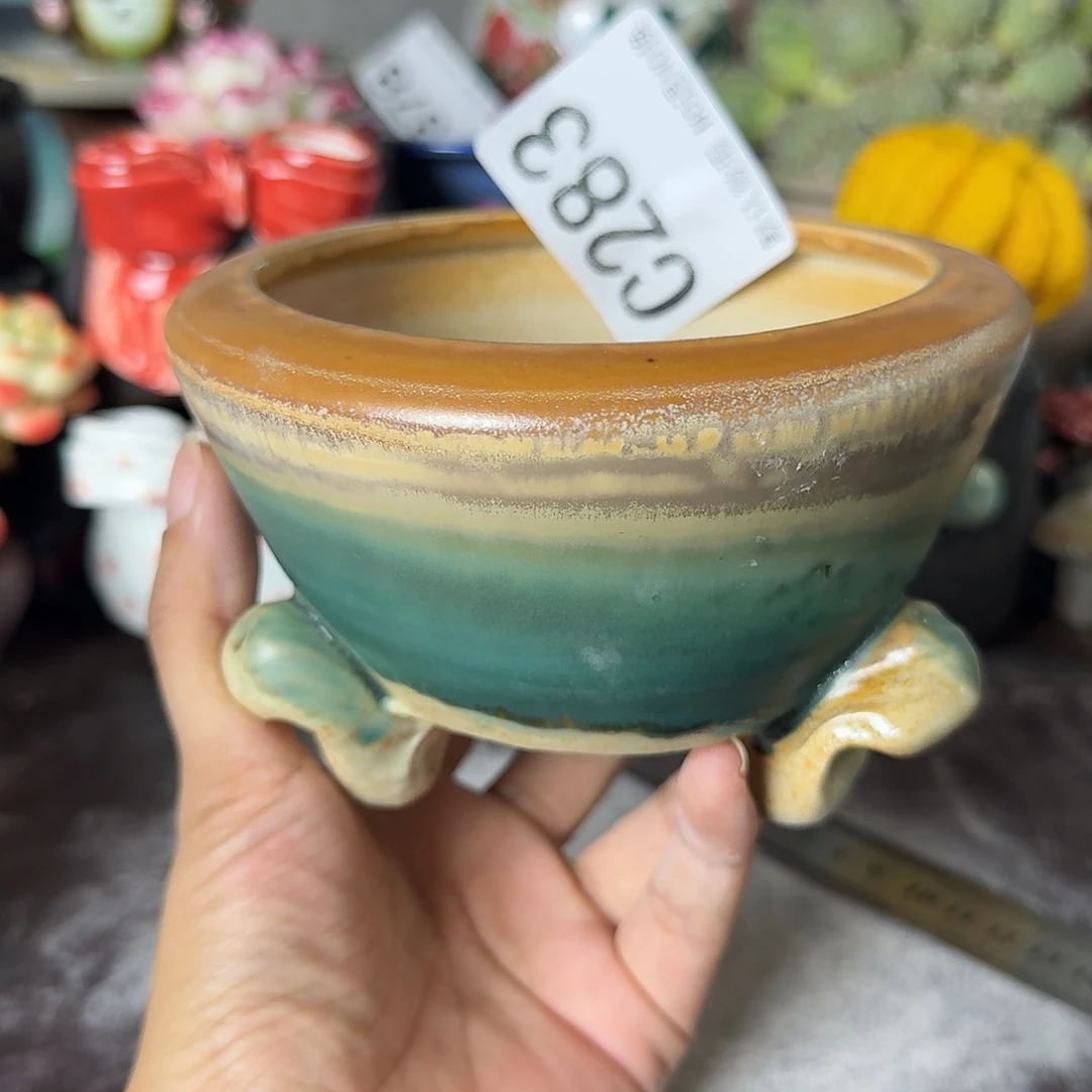 重庆小燕子欢迎大家283