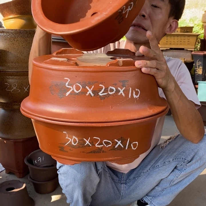 紫砂紫砂紫砂紫砂