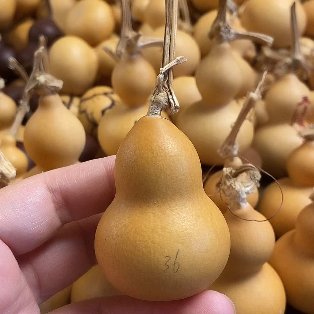 文玩葫芦 完美主义者 慎拍36