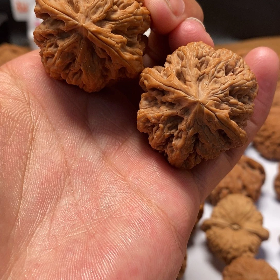 吊坠文玩核桃40尺寸全品粗筋