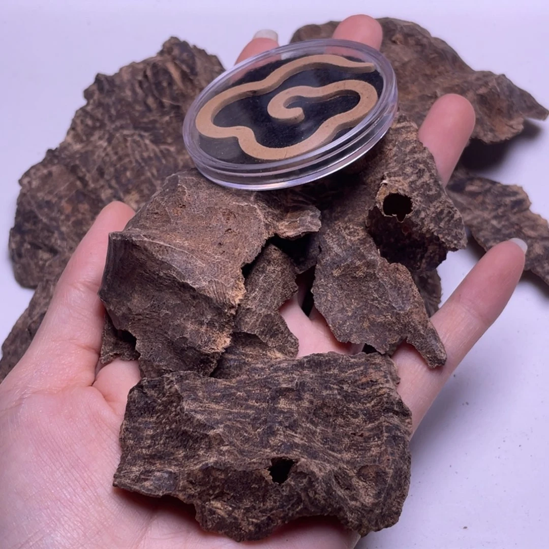 海南黑油老包壳11克