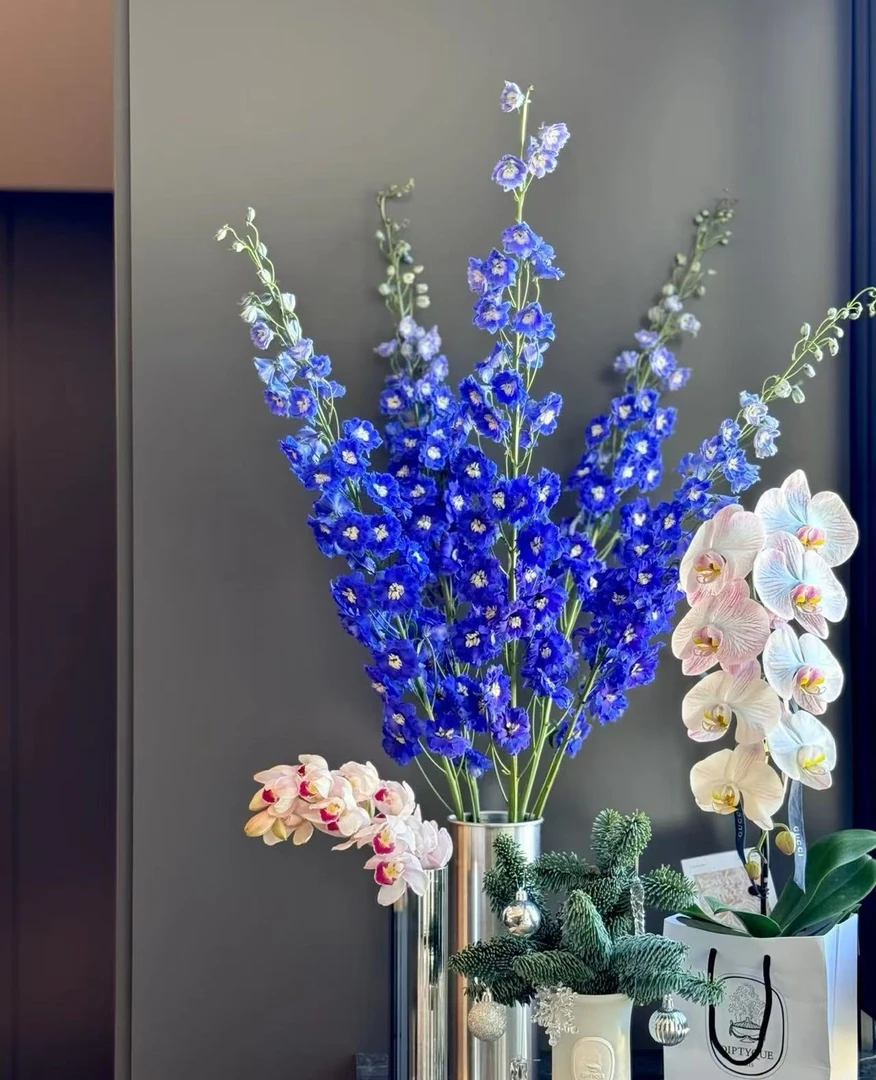 【高地人 大飞燕链接】云南产地直发 | 新鲜采摘