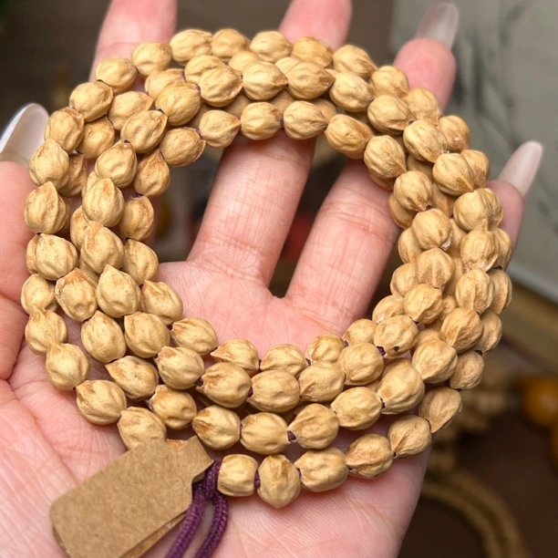 【油皮高桩莲】热振油皮竖打原桩鬼脸高桩长串柏香籽