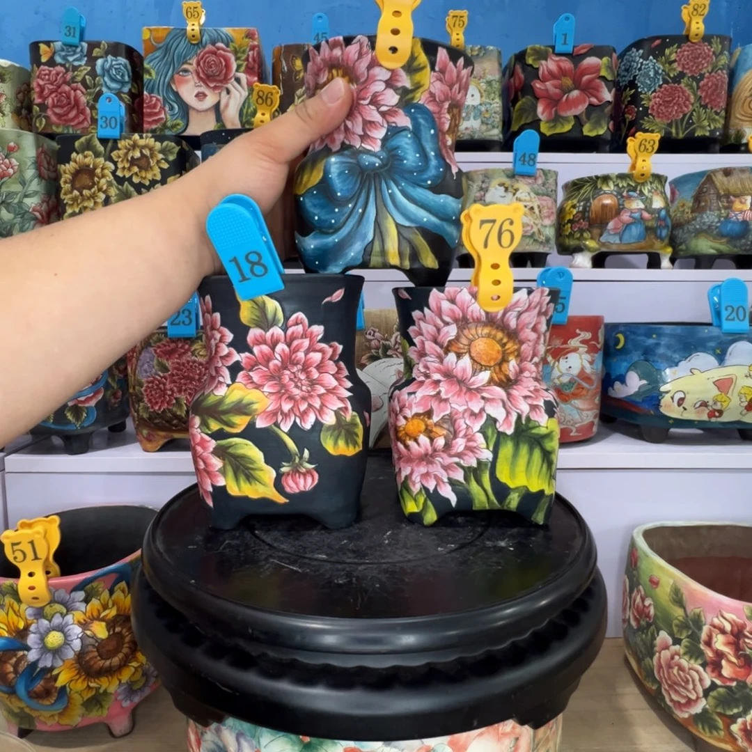 珊***¹超级好看的盆盆宝瓶