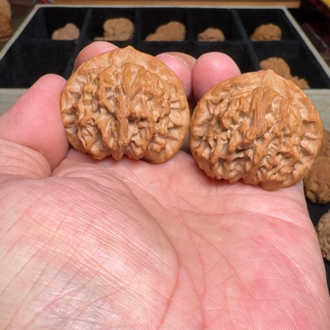 X***z文玩核桃把件全品紫金冠 尺寸42