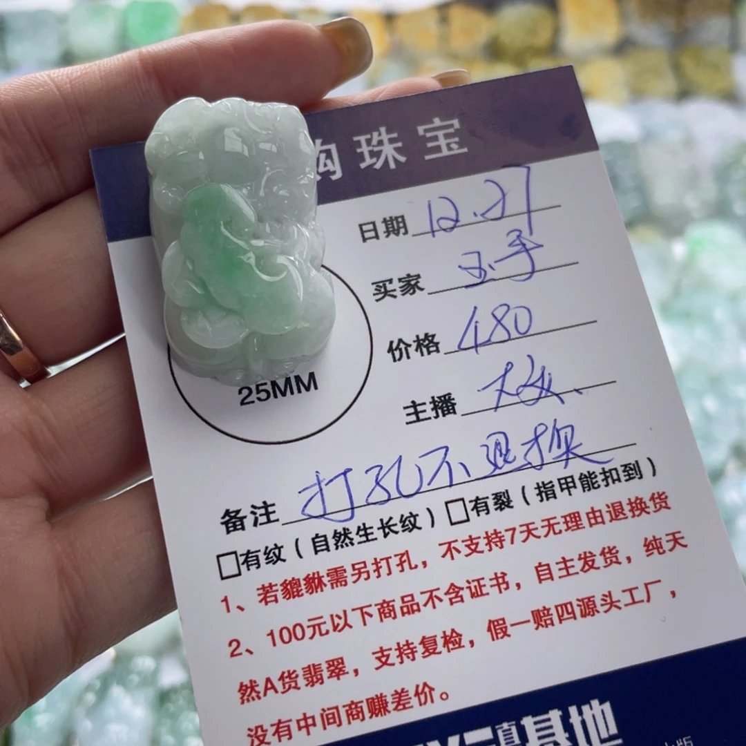 玉***货翡翠未镶嵌颈饰貔貅