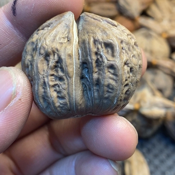 文玩核桃吊坠娜姐186