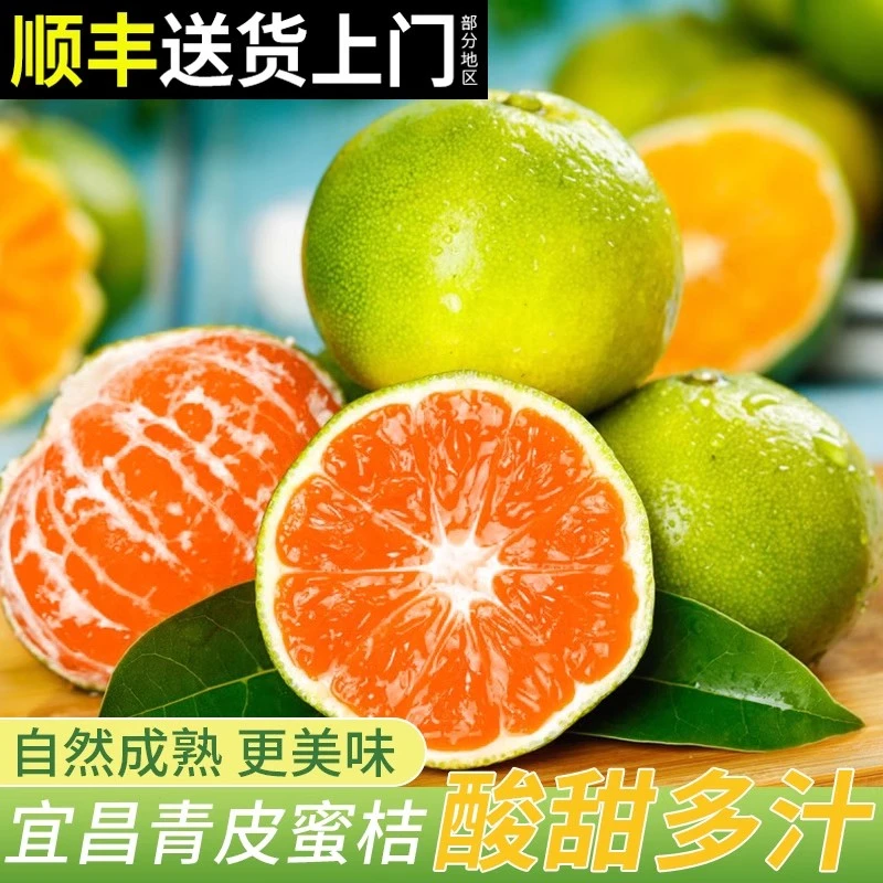 宜昌无籽蜜桔新鲜现摘青皮黄皮蜜橘酸甜薄皮厚皮蜜桔孕妇直发水果