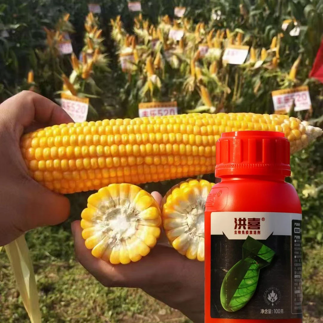 丰 乐 520洪喜增产叶面肥