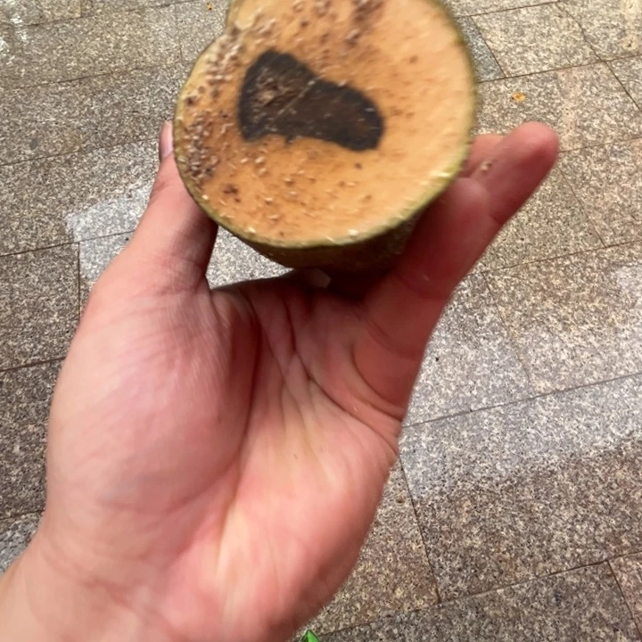 线香奇楠沉香原木段