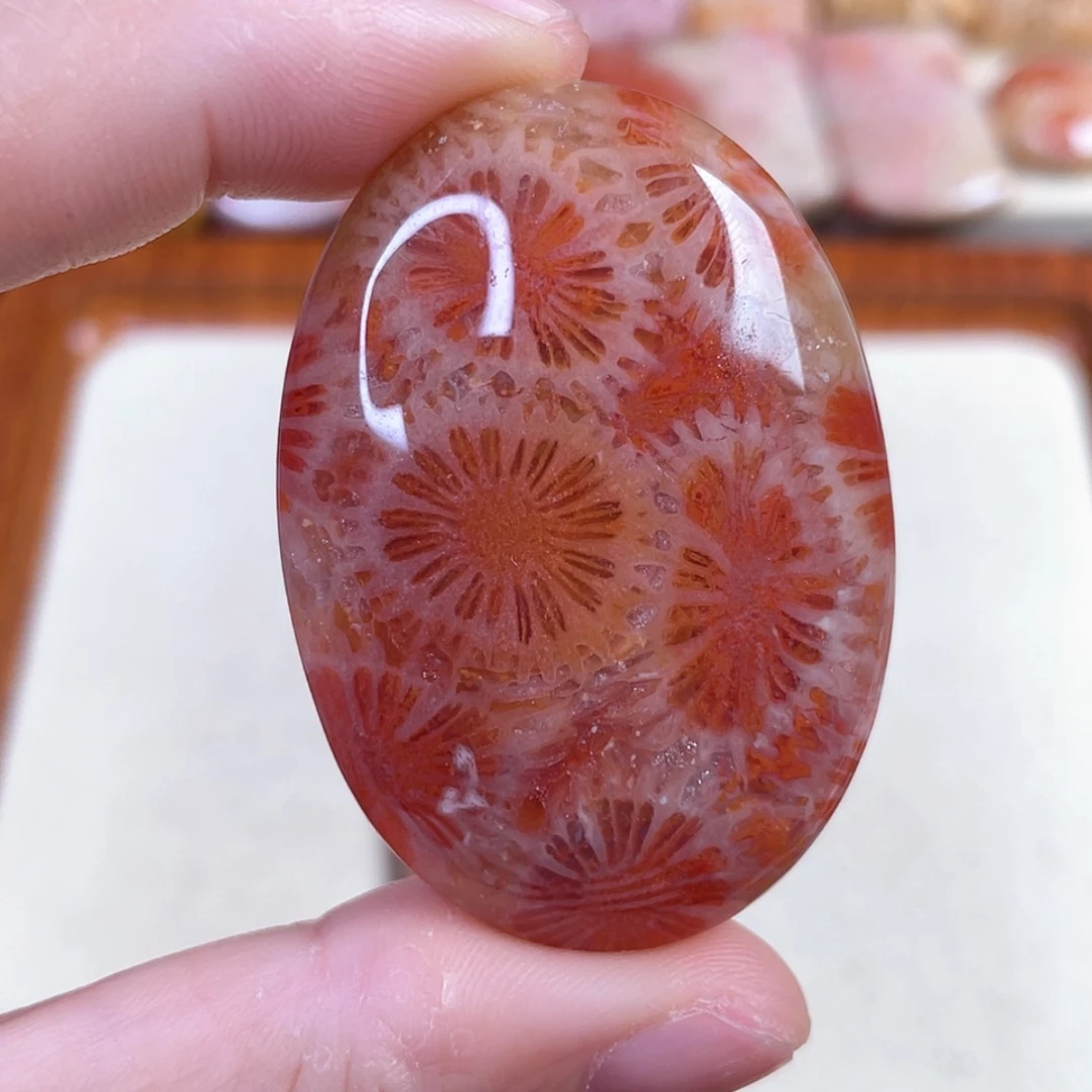 【闪购商品】硅化玉吊坠(赠链)未镶嵌乐*