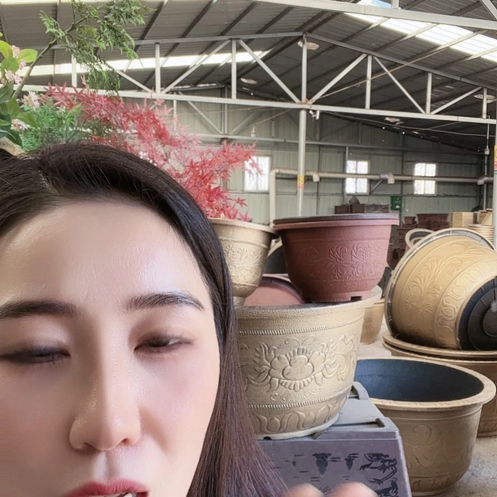 圆60口径花盆两个