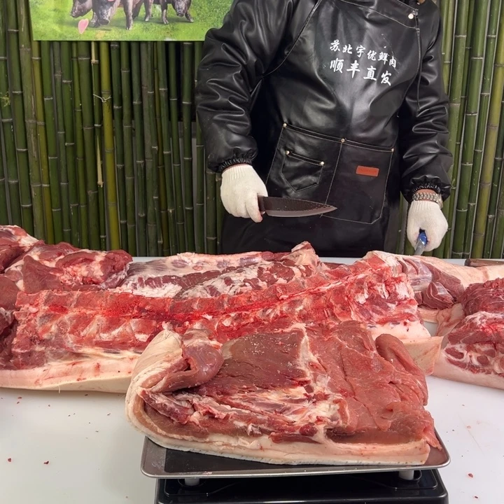 冷冻保存6个月中国大陆包装