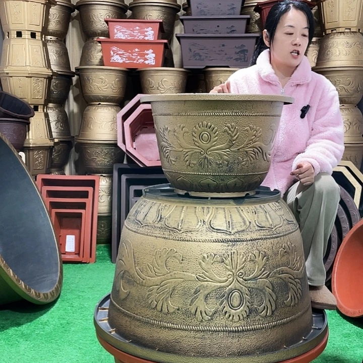 圆盆古铜五零两个