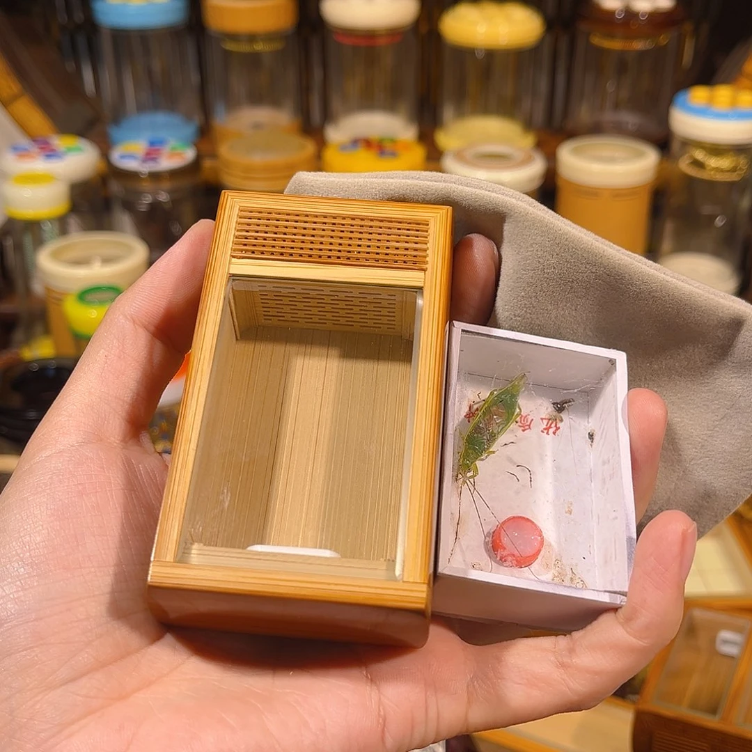 蟋蟀老竹竹蛉盒+绿金钟+布套