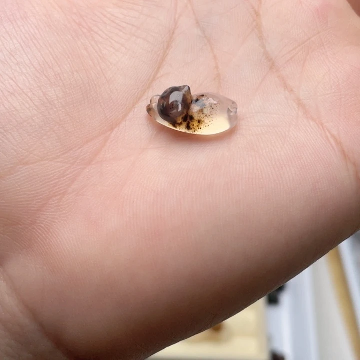 未镶嵌玛瑙趴趴猫玛瑙/玉髓