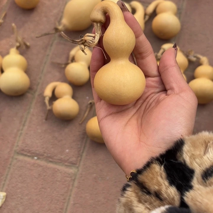 小***风葫芦葫芦放漏葫芦