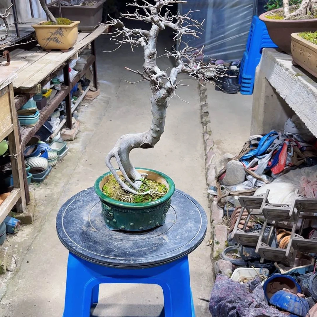 11111111111111潘11111111111