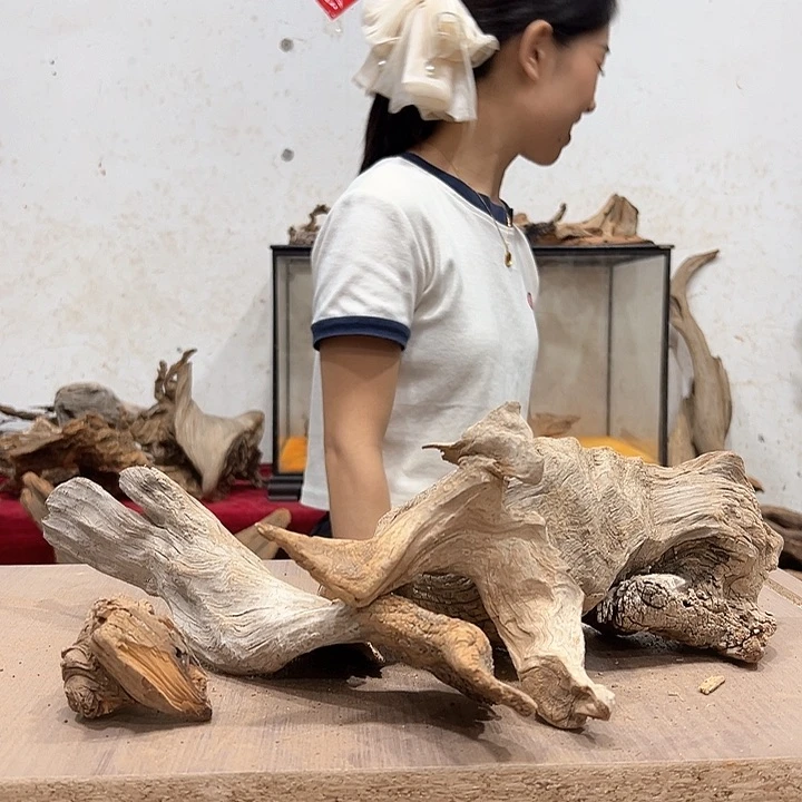 柏木?*東我们的生活也是