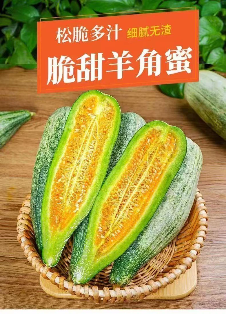 头茬正宗山东羊角新鲜甜瓜蜜瓜当季香瓜应季孕妇甜香水果整箱