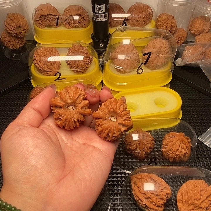 司***741巨凹   高尖龙门
