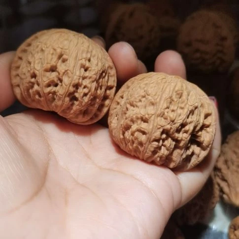 猴头核桃吊坠43泥鳅背