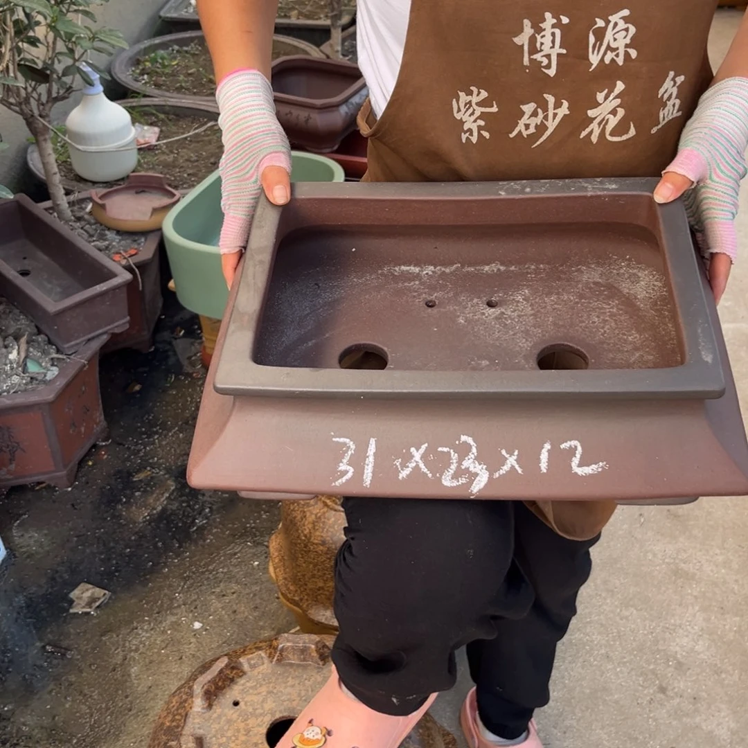 紫砂花盆盆景艺术