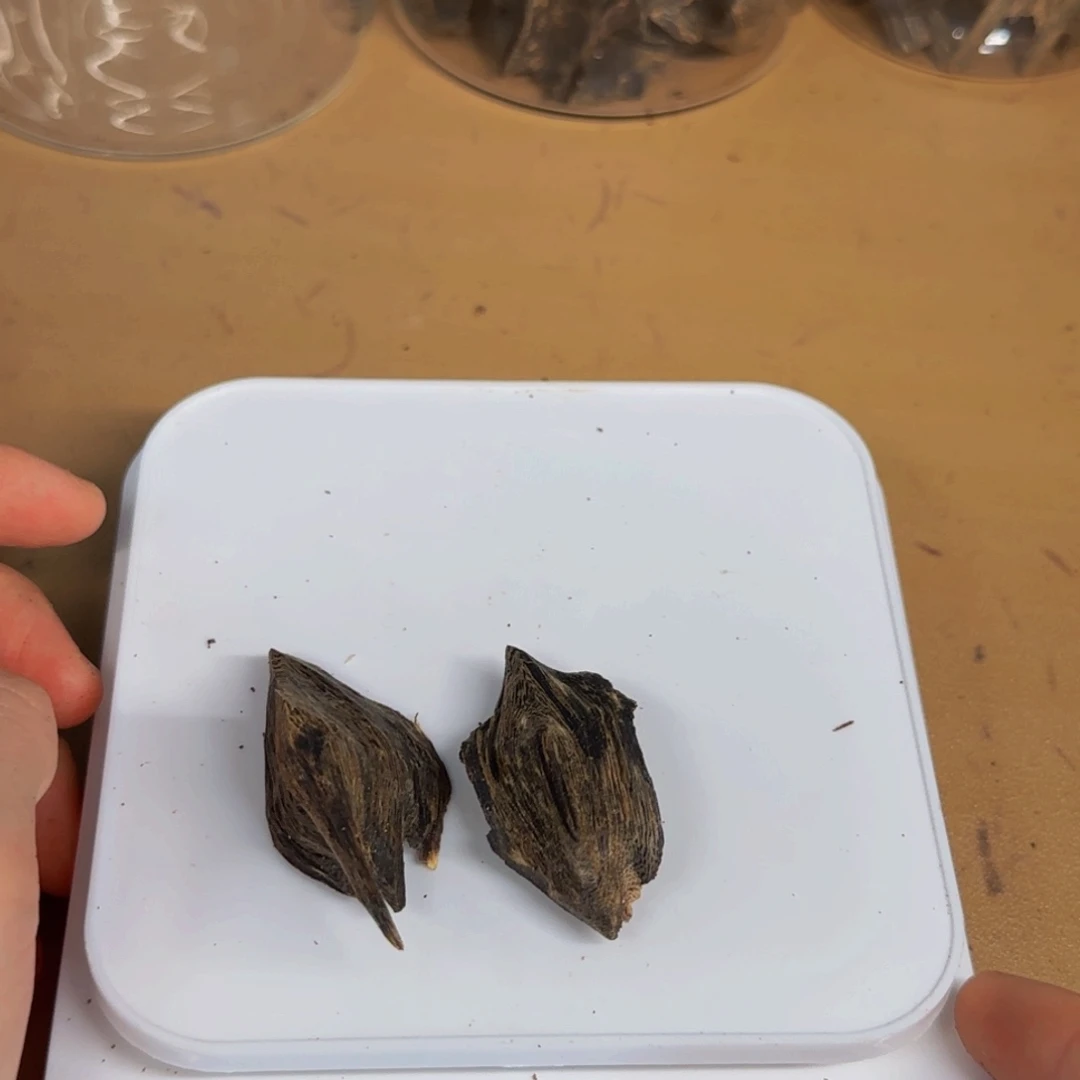 老***洪沉香碎屑沉香虎斑棋壳子料7.5克