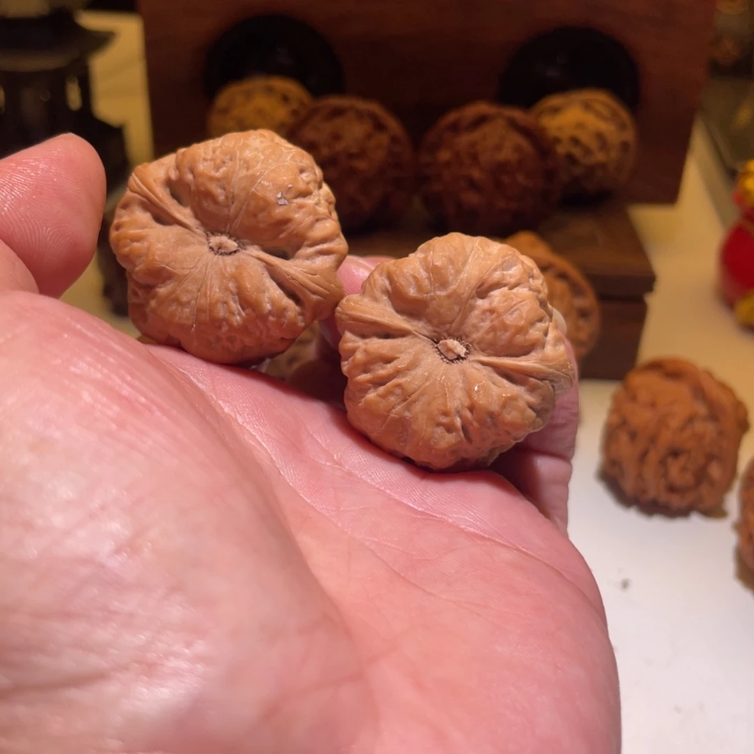 就***袋吊坠文玩核桃36古蝉