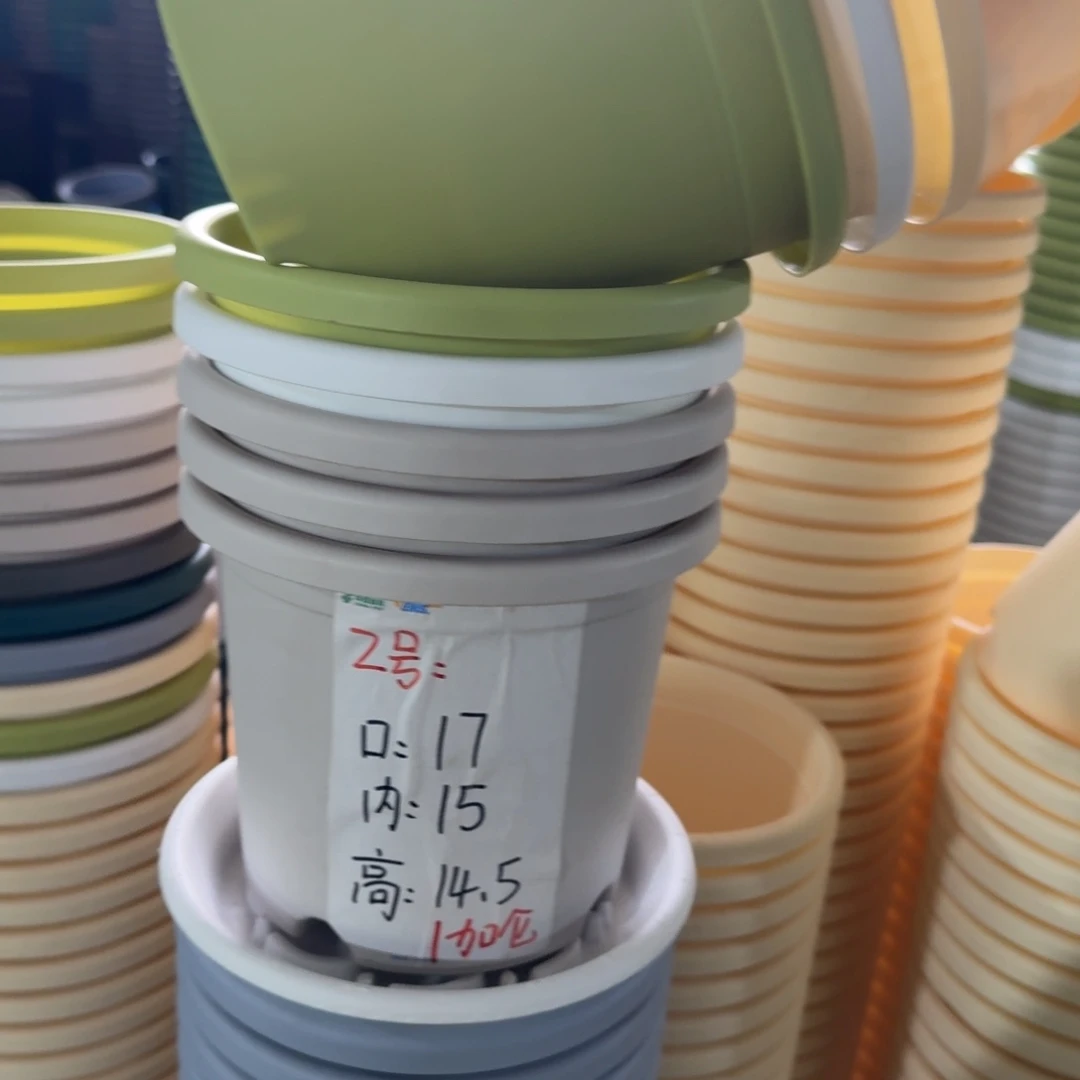 四季2#口径17无拖果绿6个