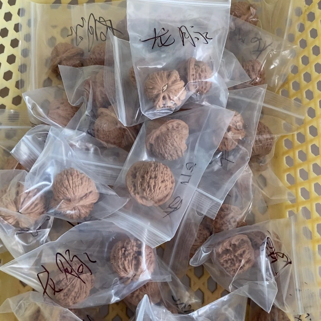 文玩核桃吊坠龙脉