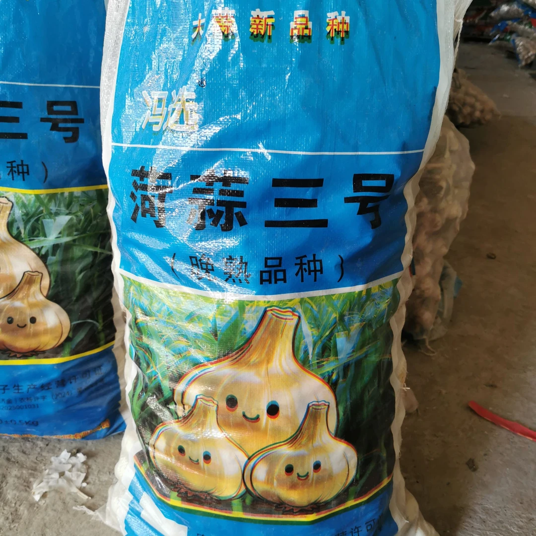 晚熟大蒜荷蒜三号