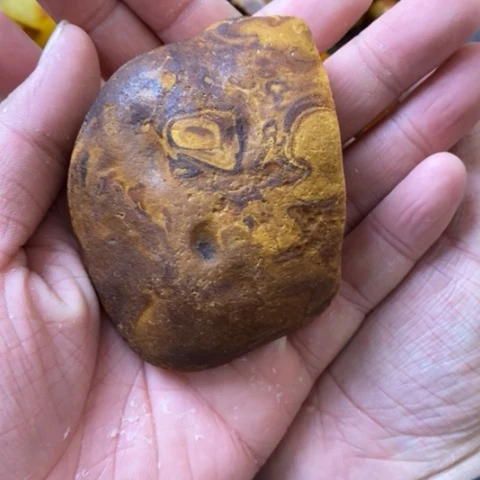 定制蜜蜡未镶嵌嘉*华琥珀蜜蜡原石定制手把