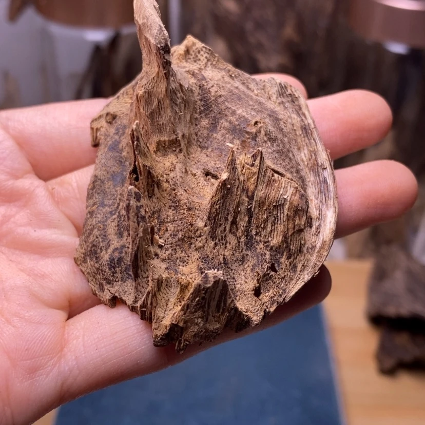 【闪购商品】海南壳子5克