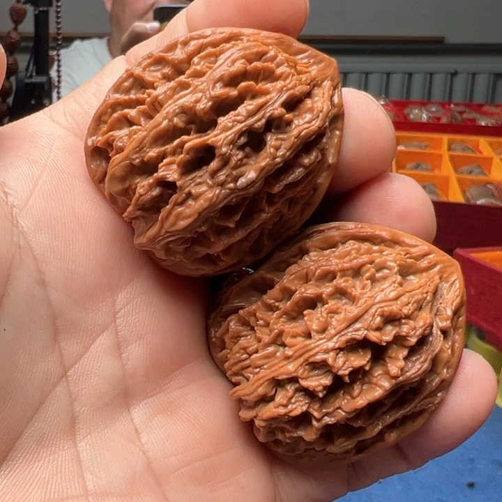 文玩核桃把件孙****⁴九龙筋