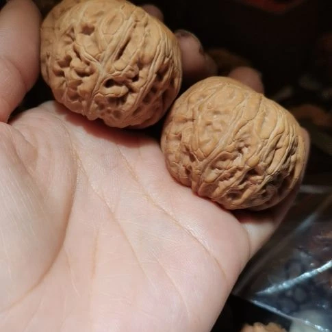 猴头核桃吊坠倾****灯45元宝