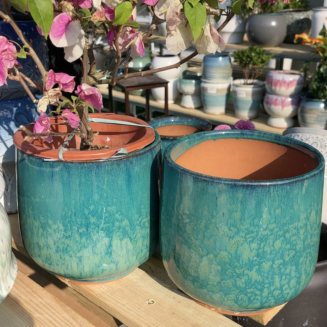 红陶杨杨直播0218-预报238