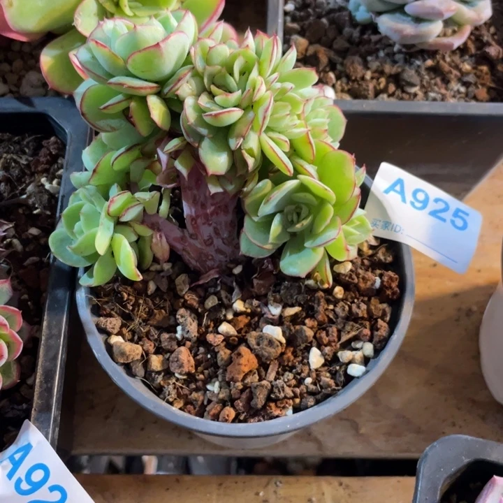 w***.哈哈哈哈哈哈回家925