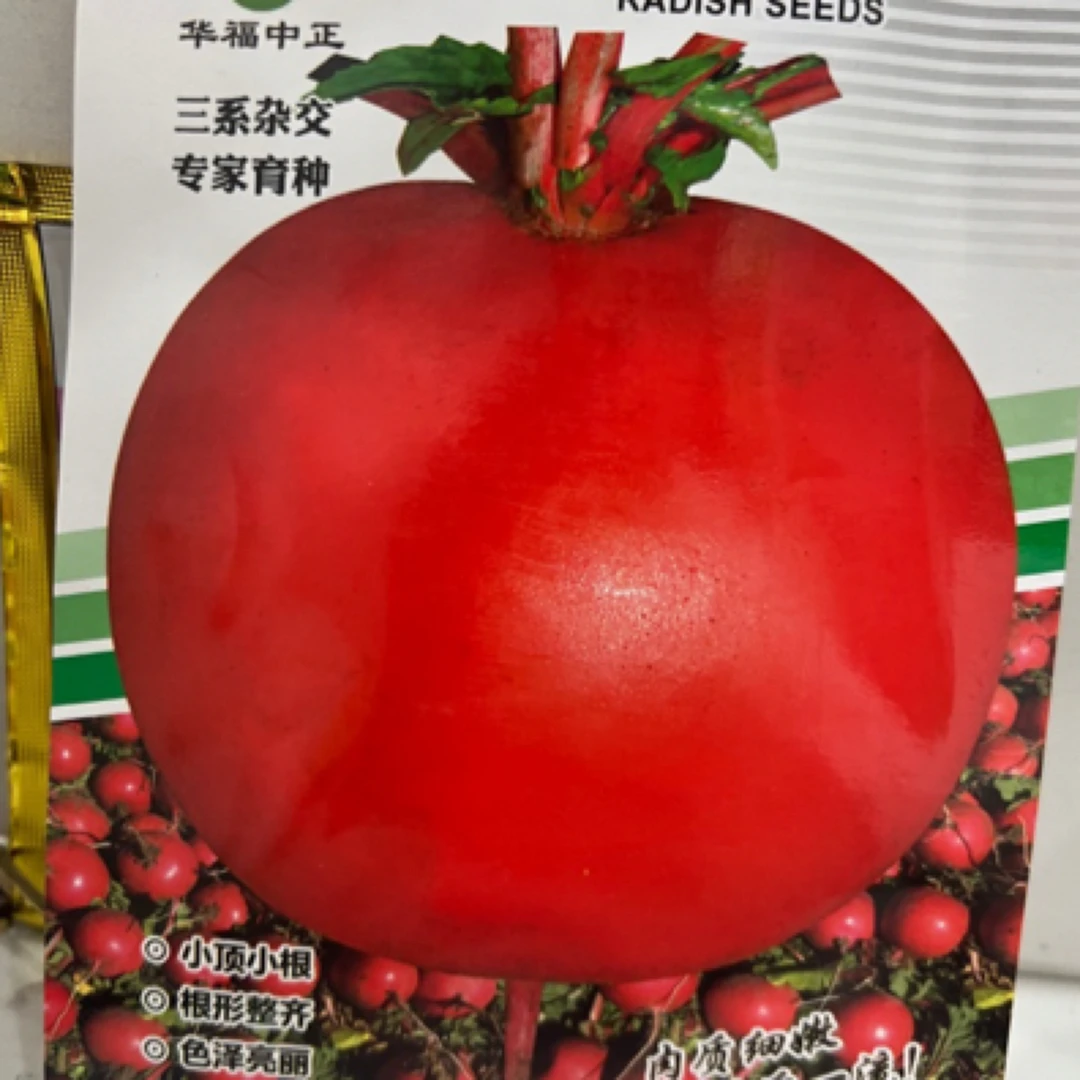 三系杂交华福大红萝卜种子