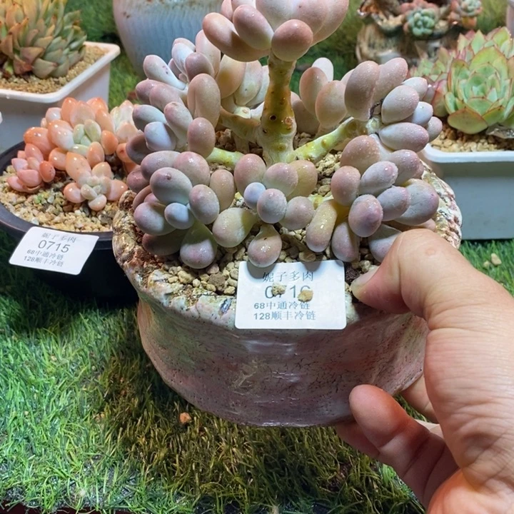 0716啊啊啊啊啊啊啊啊啊啊