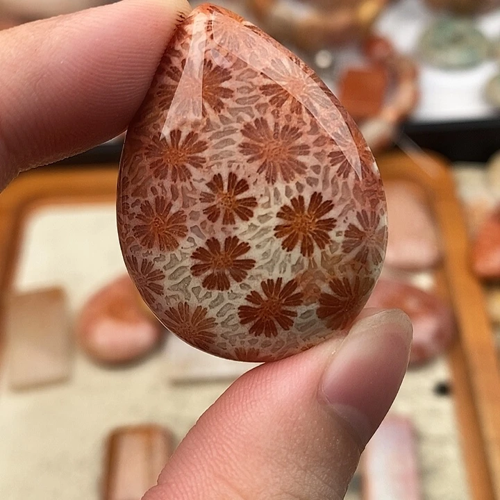 南***）硅化玉颈饰未镶嵌