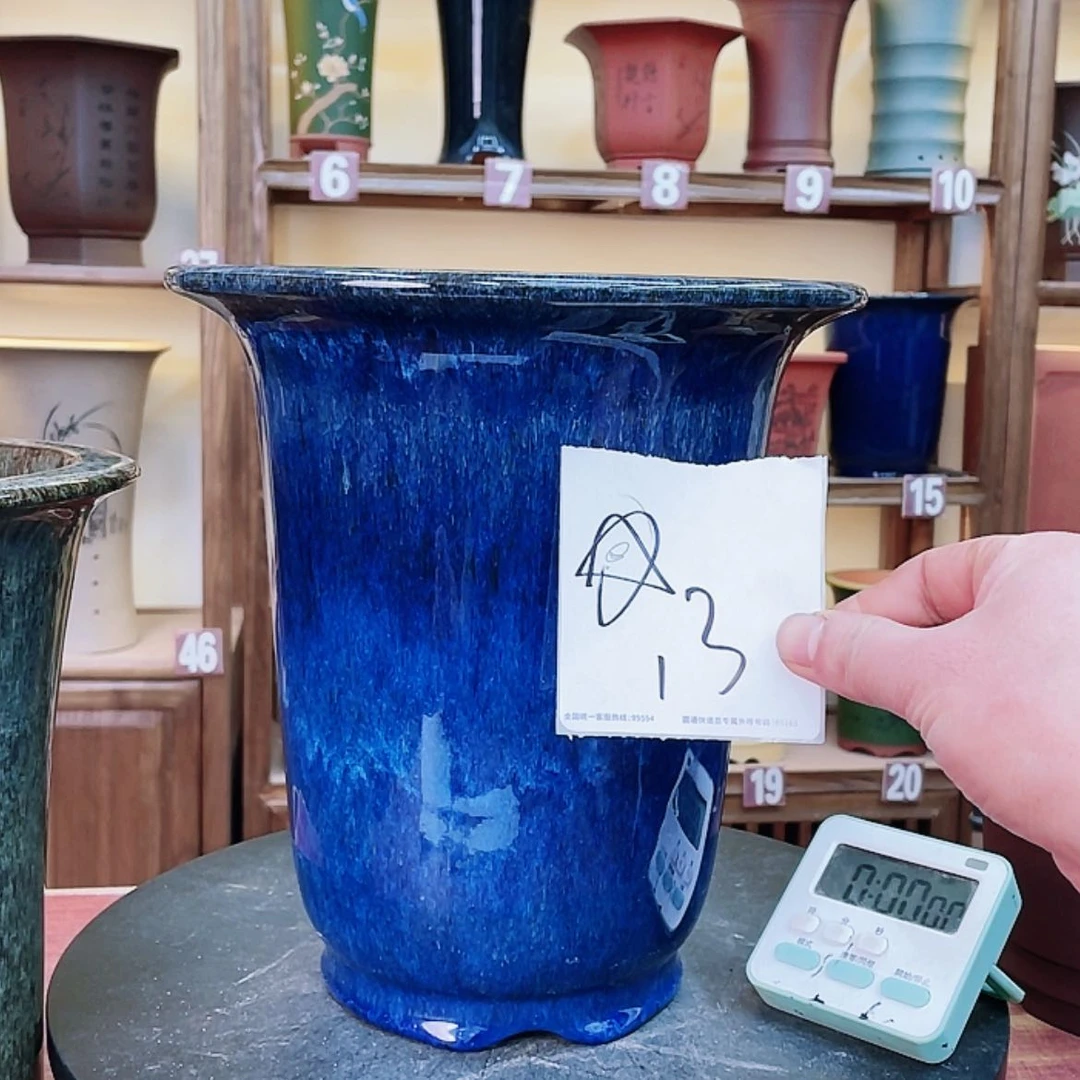 【闪购商品】紫砂花盆葛*苗兰花643464548464664849
