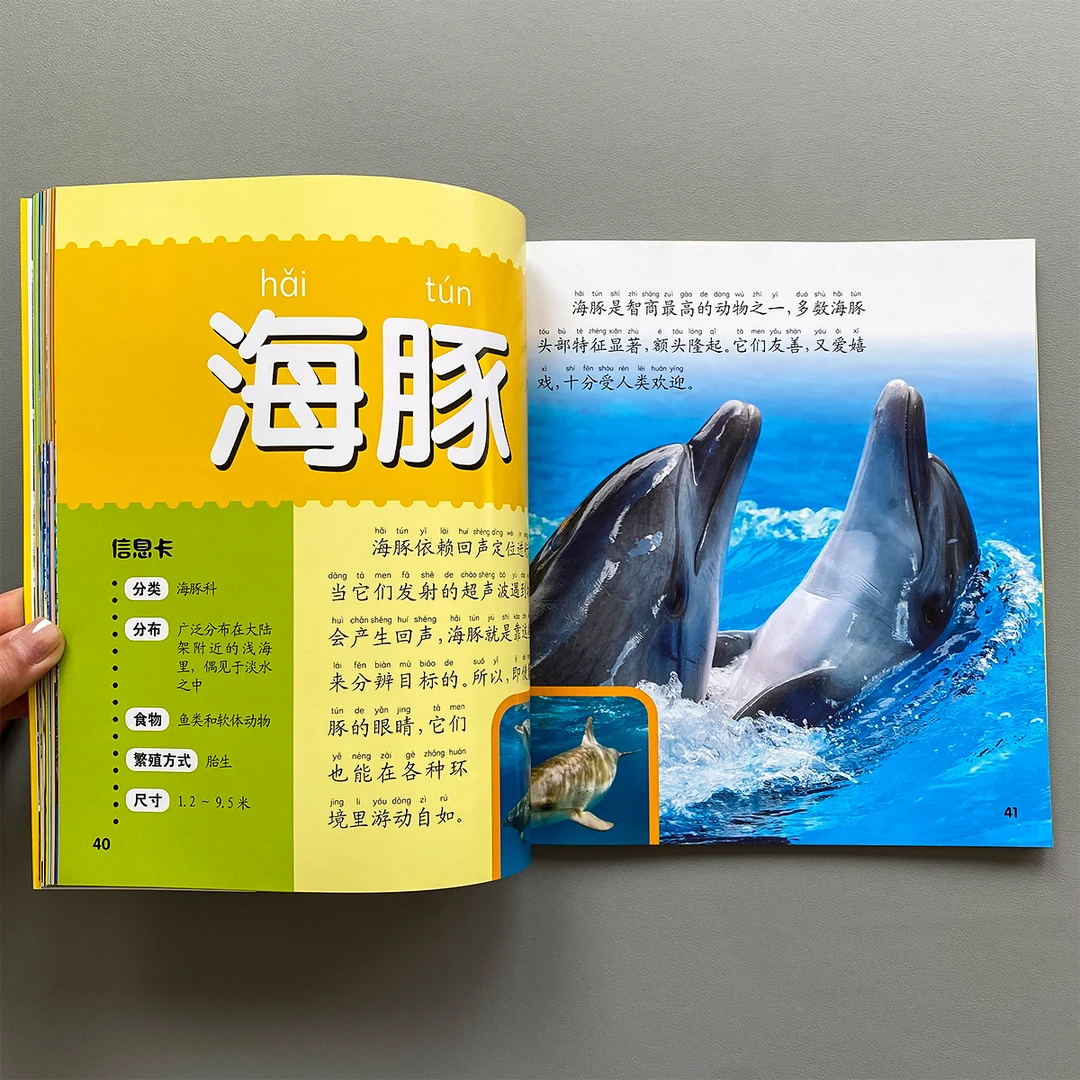 海洋动物大百科 全彩注音版海洋生物百科全书世界儿童科普类绘本
